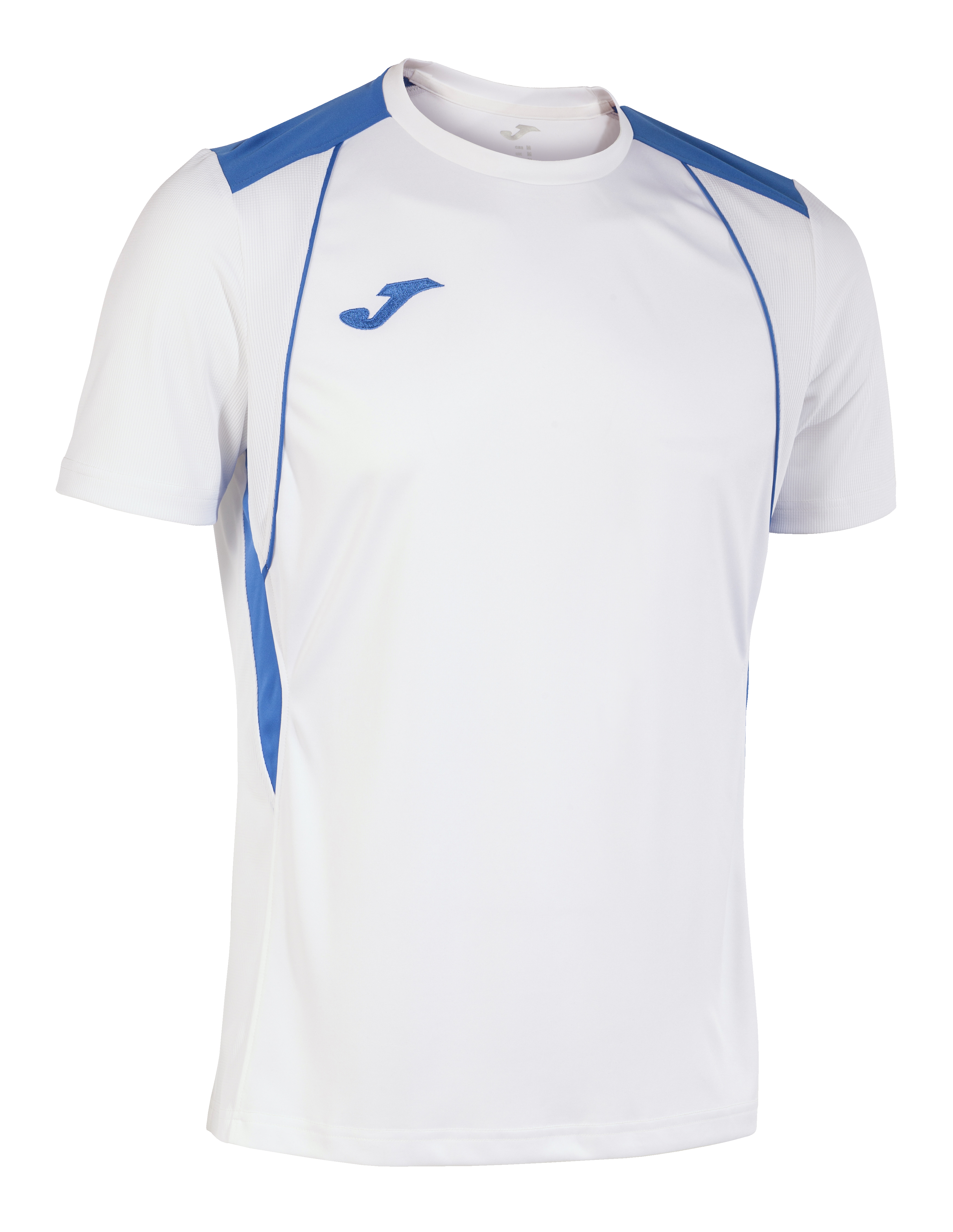 Champion VII T-Shirt - Xtra Large Sizes - Sizes XL, 2XL, 3XL - 23 Colour options