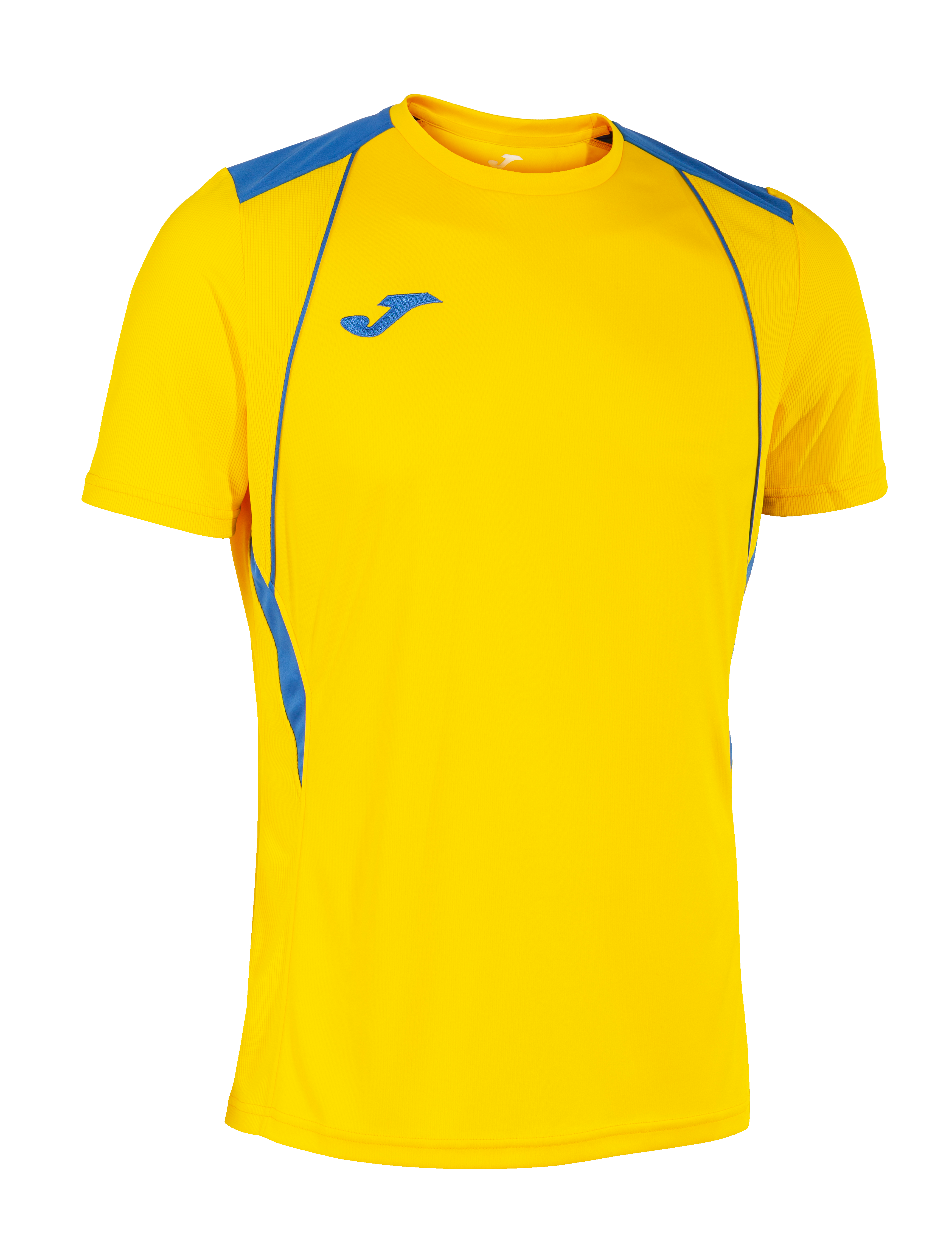 Champion VII T-Shirt - Xtra Large Sizes - Sizes XL, 2XL, 3XL - 23 Colour options